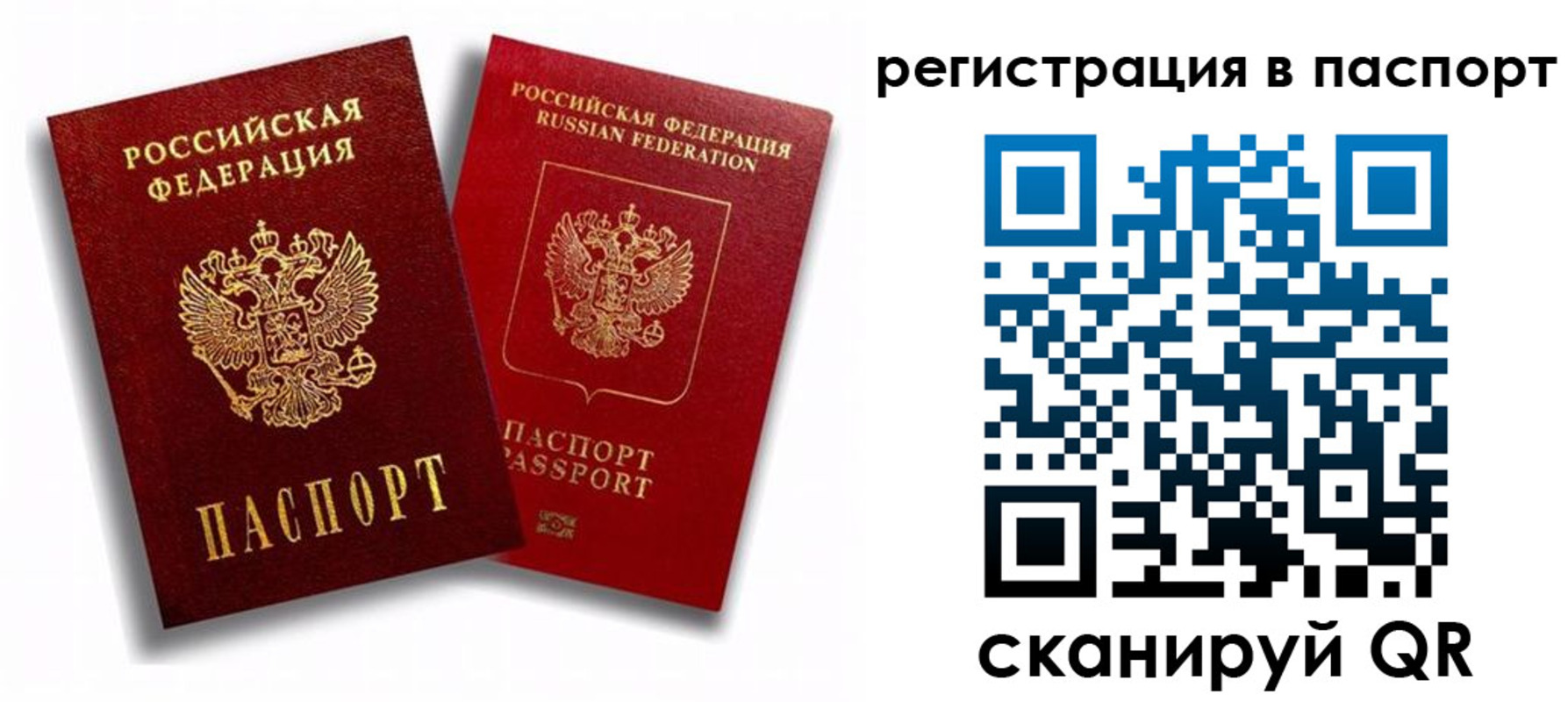 прописка 2025 в Волосово